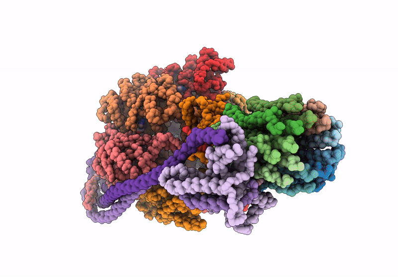 8G09 image