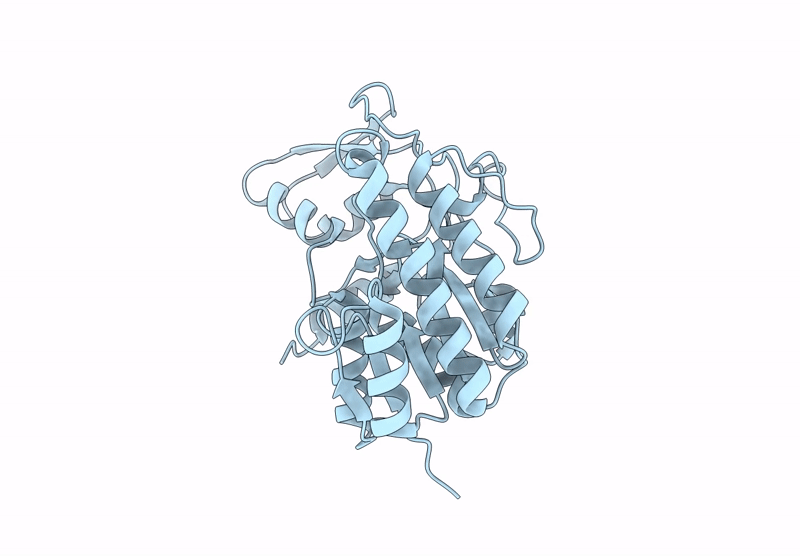 8G22 image