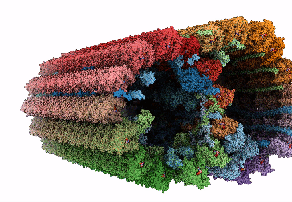 8G3D image