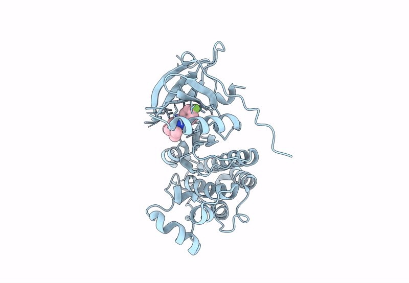 8G63 image