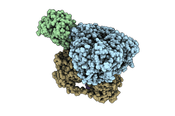 8G7V image
