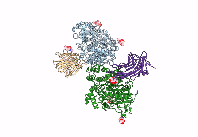 8G81 image