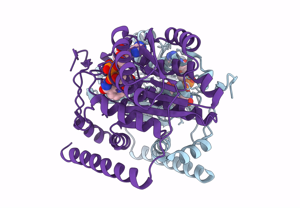 8G84 image