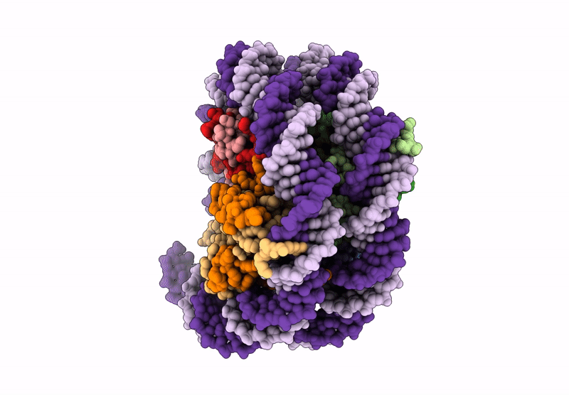 8G86 image