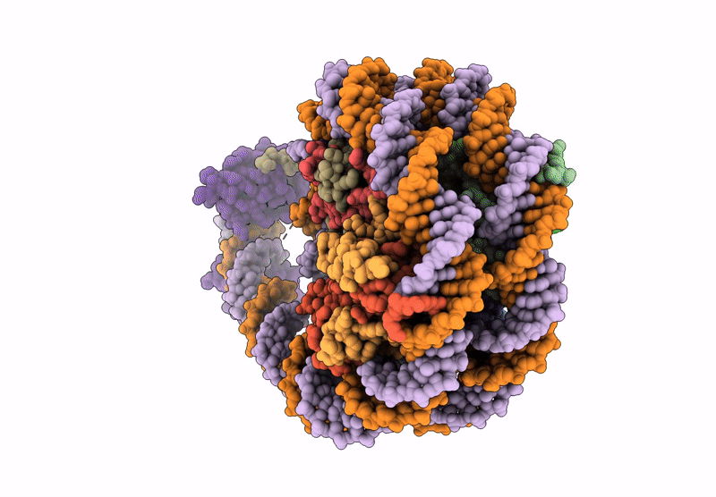 8G8B image