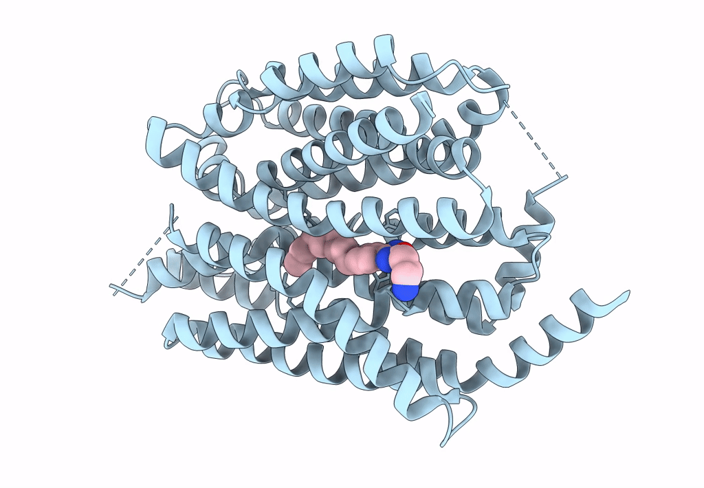 8G92 image