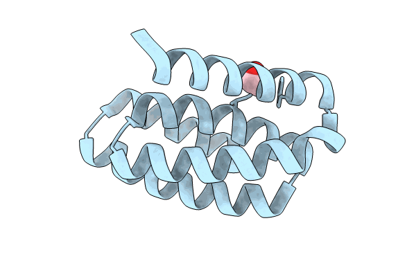 8GAC image