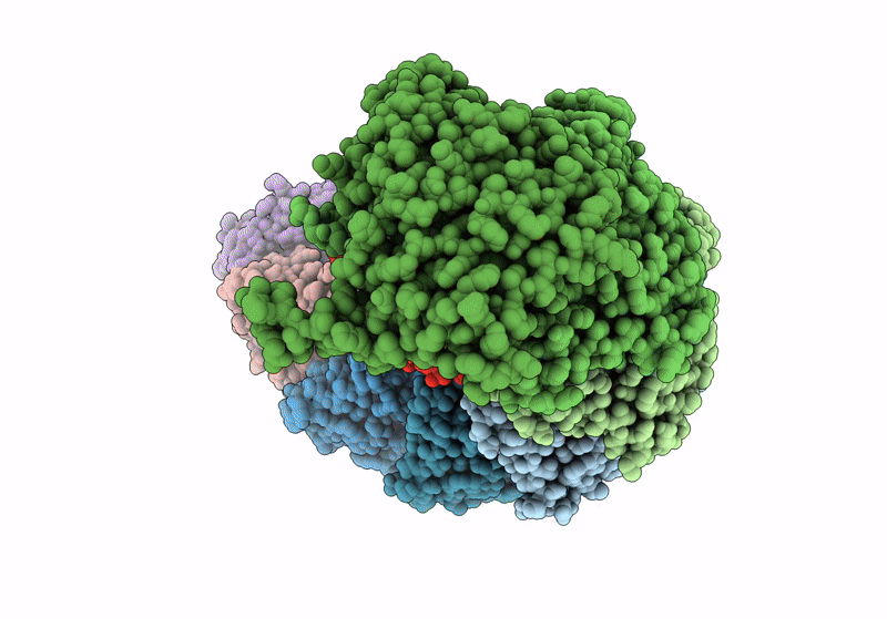8GAM image