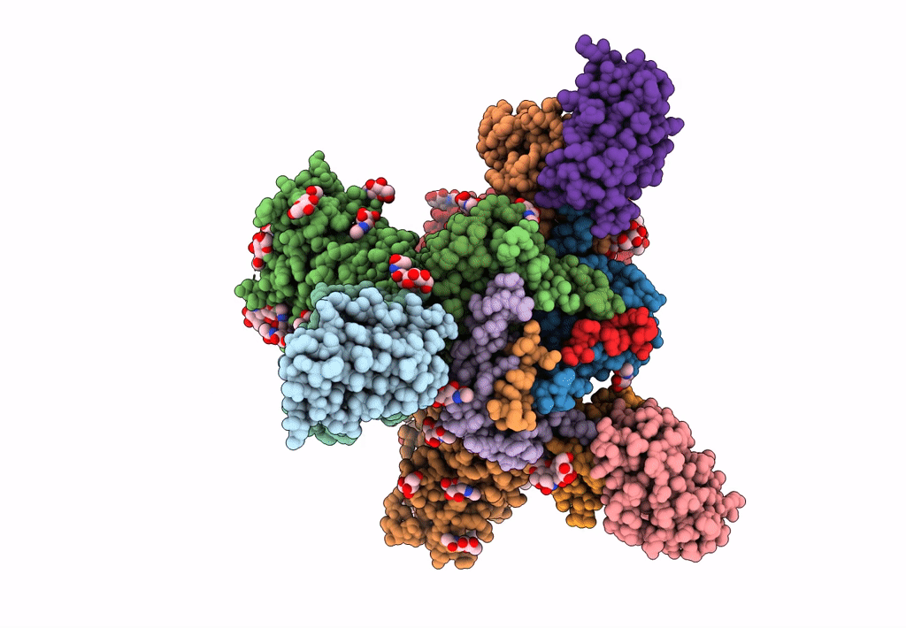 8GAS image