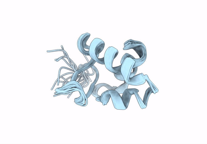 8GBD image