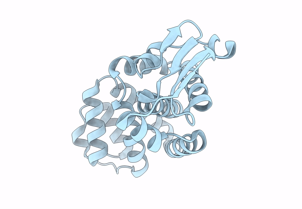 8GBE image