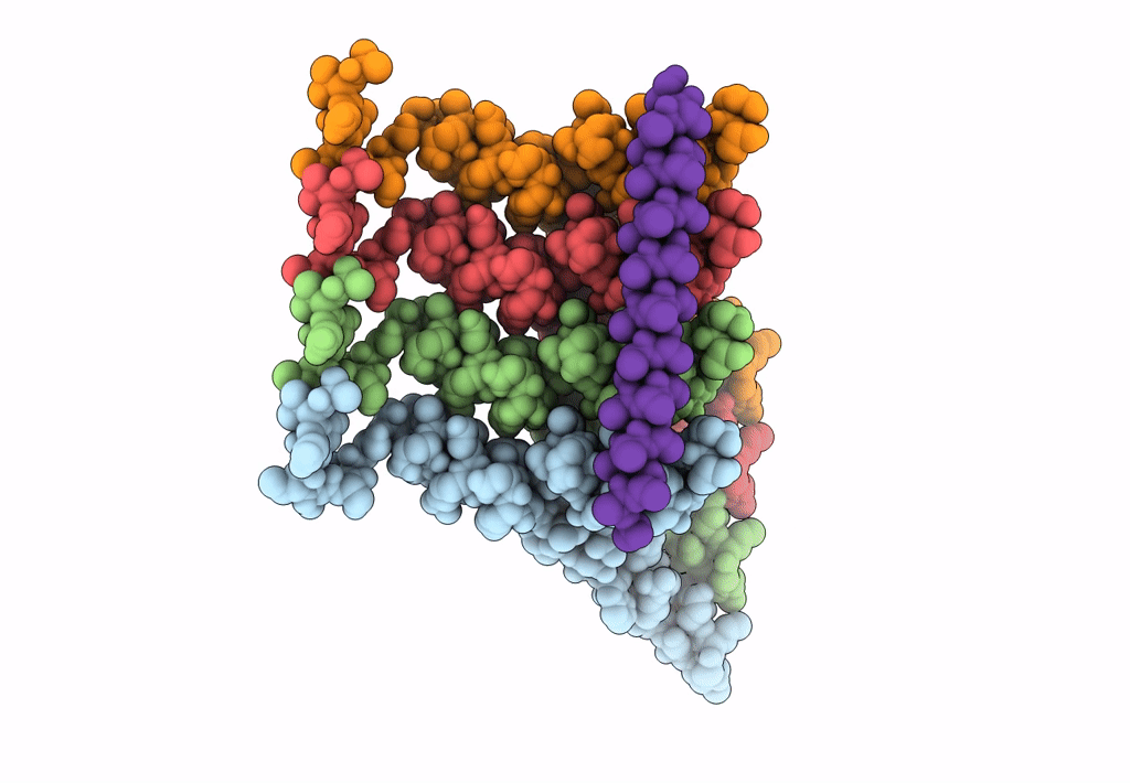 8GBS image