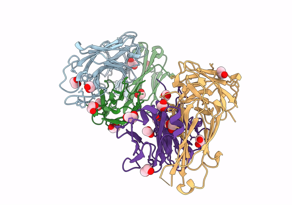 8GBV image