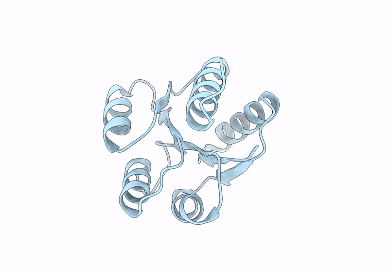 8GC6 image