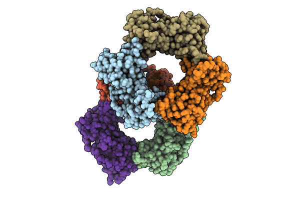 8GCJ image