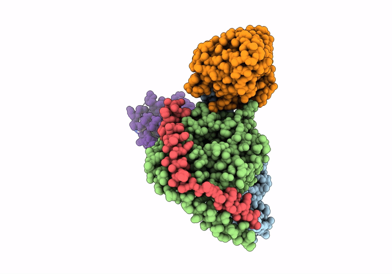 8GCM image