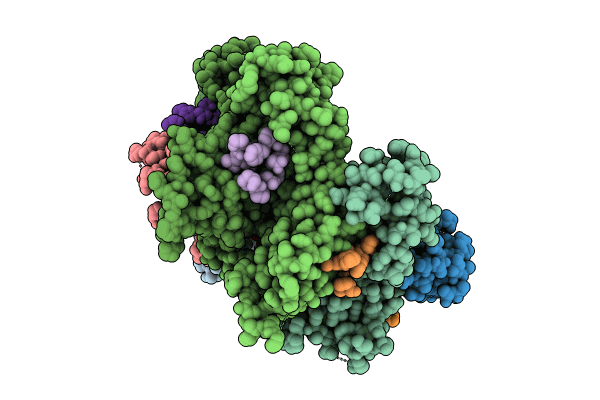 8GDV image