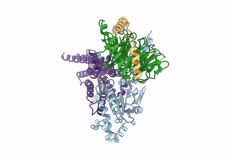 8GE4 image