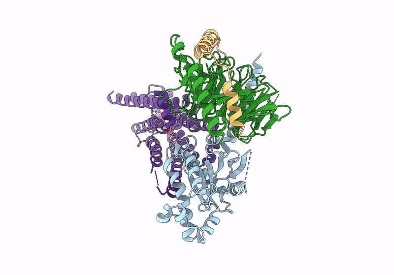 8GEA image