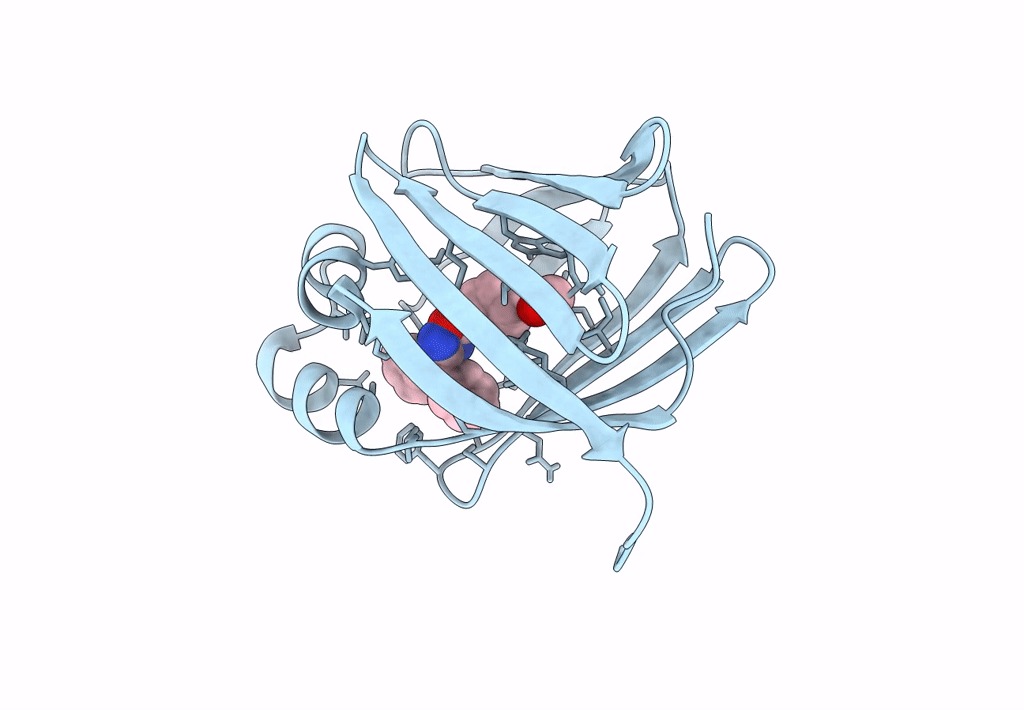8GEV image