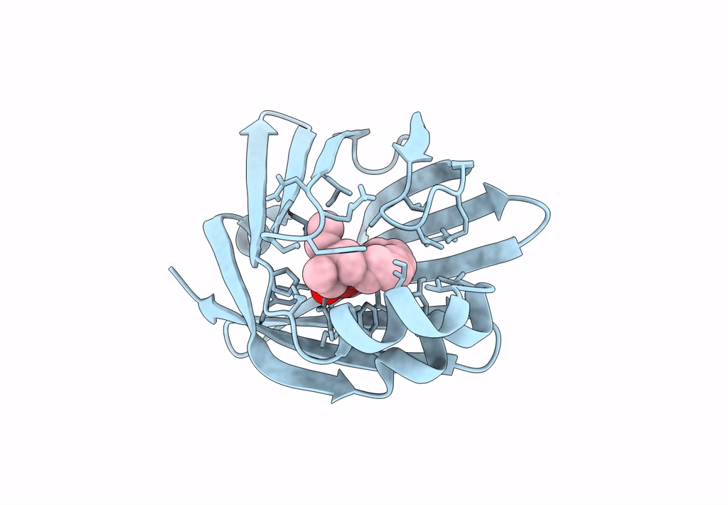 8GEW image