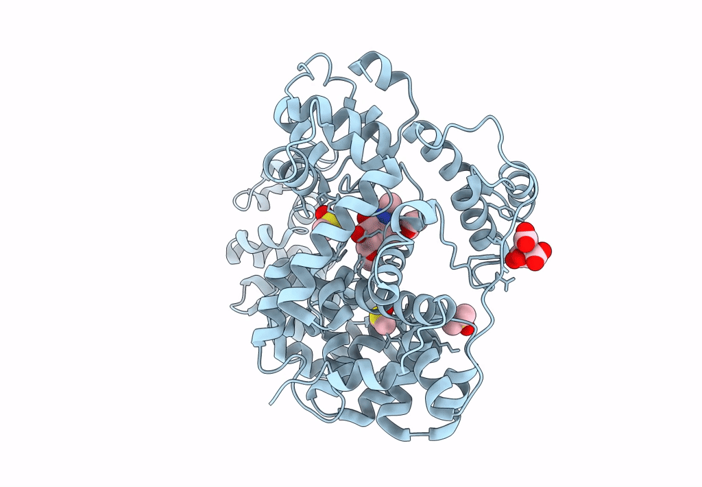 8GFB image