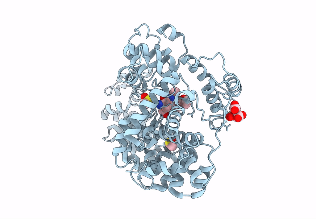 8GFC image