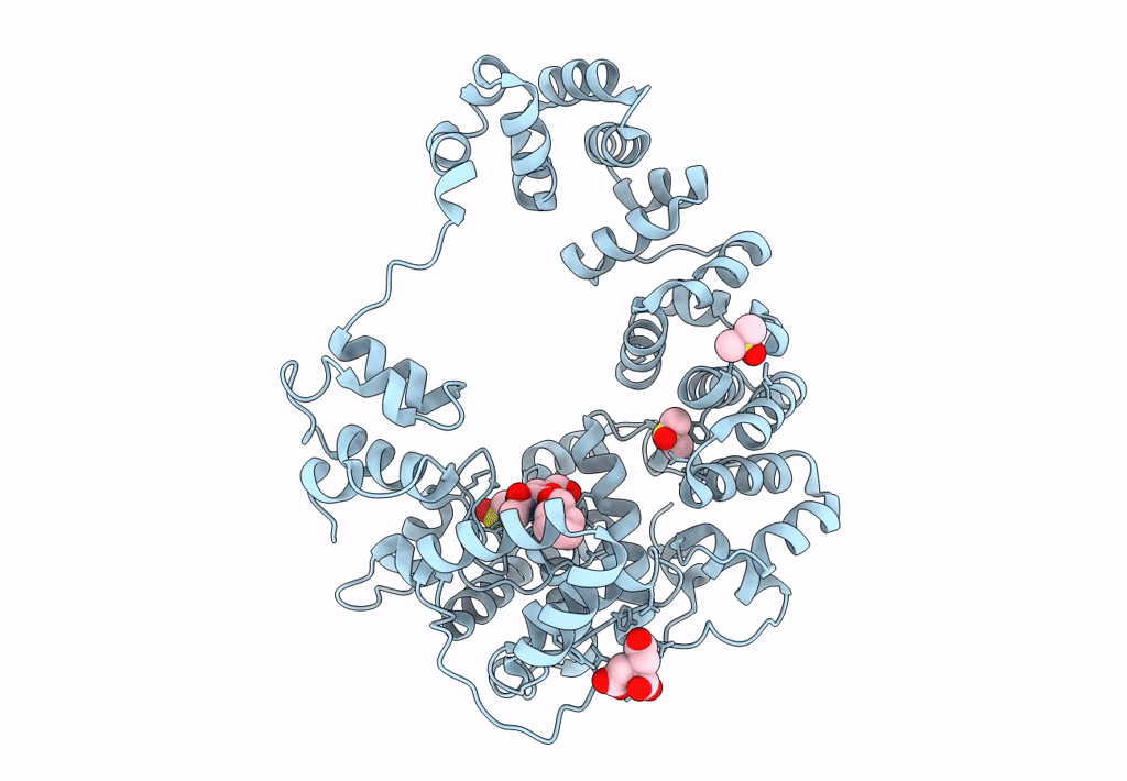 8GFF image