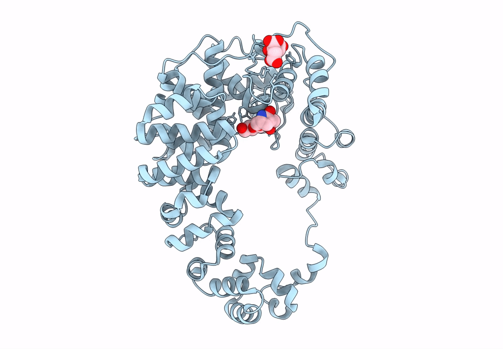 8GFI image