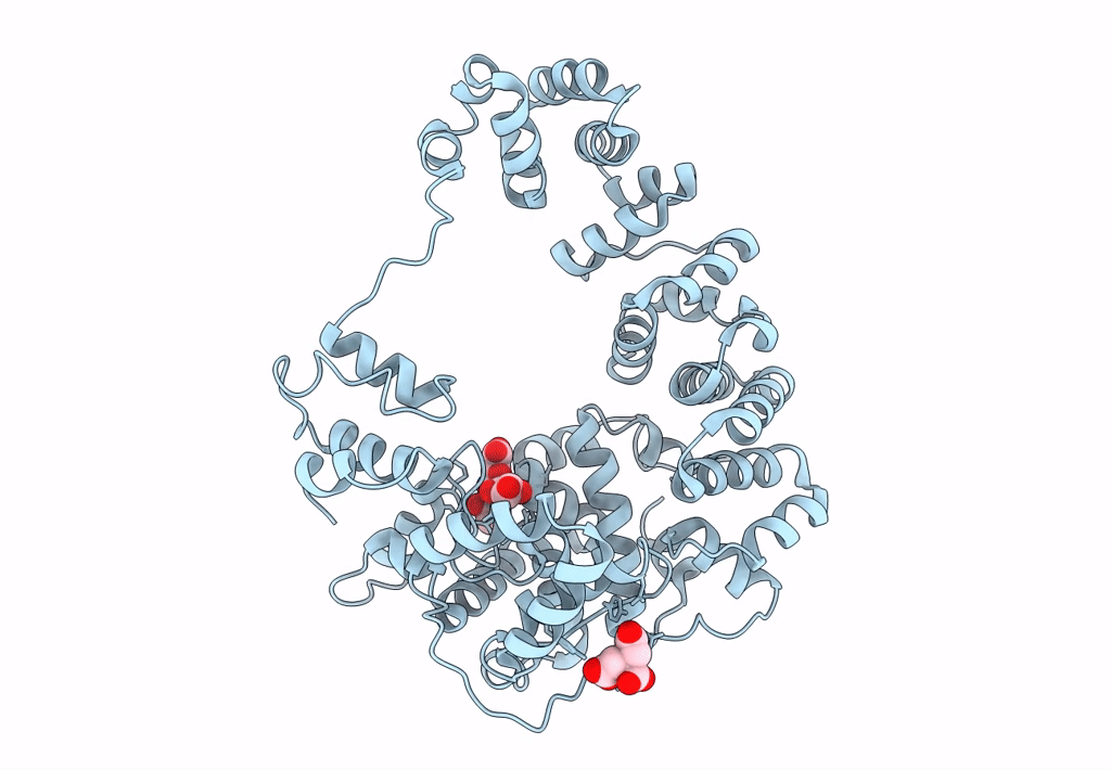 8GFM image