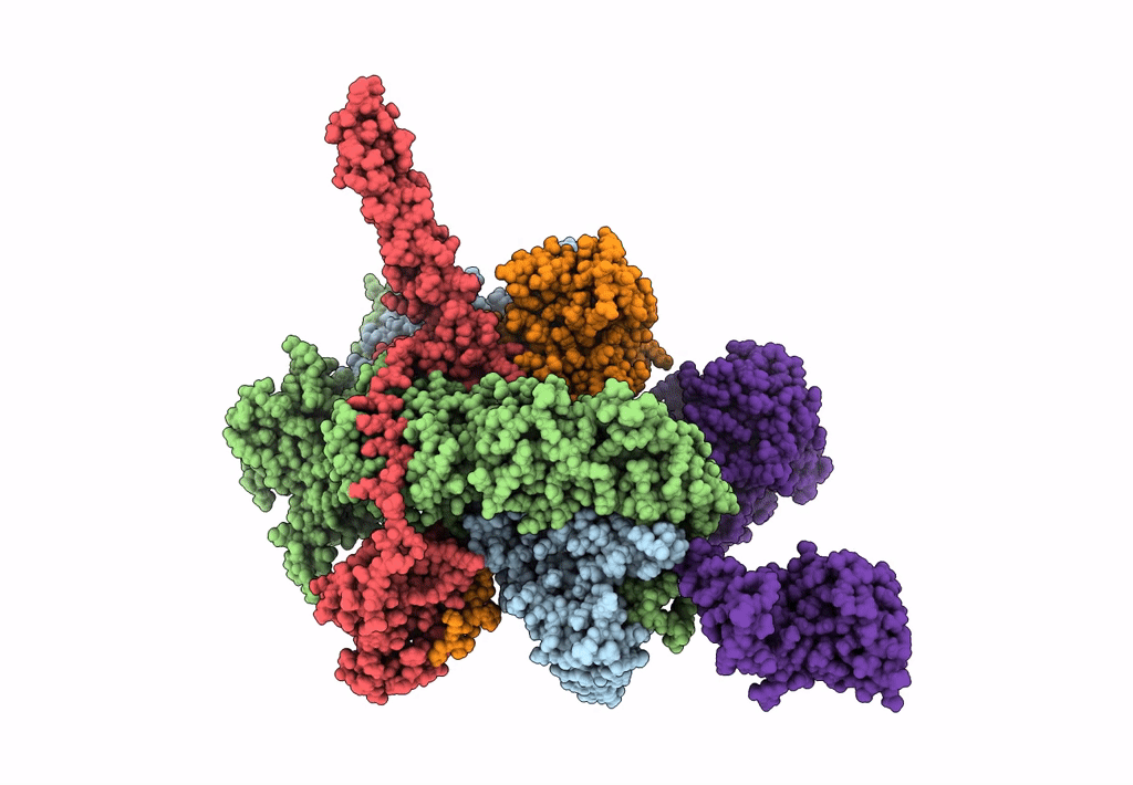 8GFT image