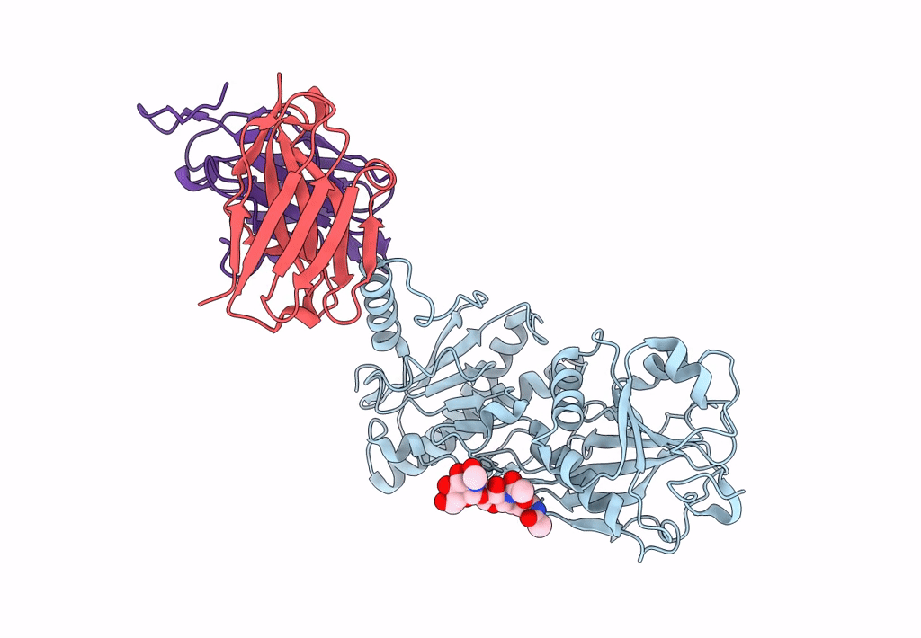 8GHP image