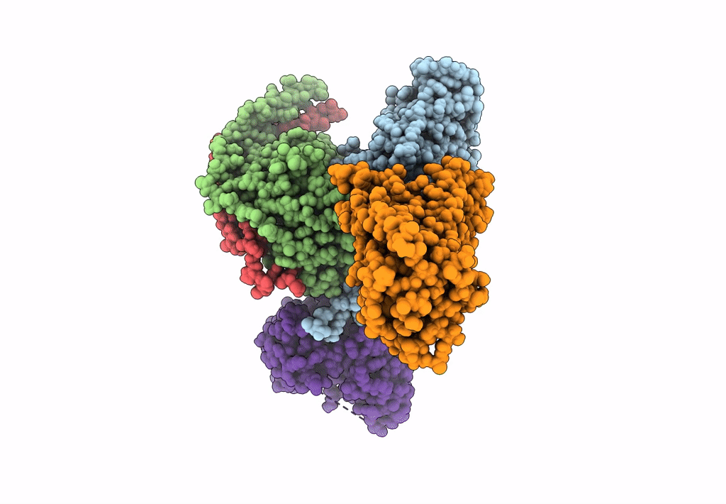 8GHV image