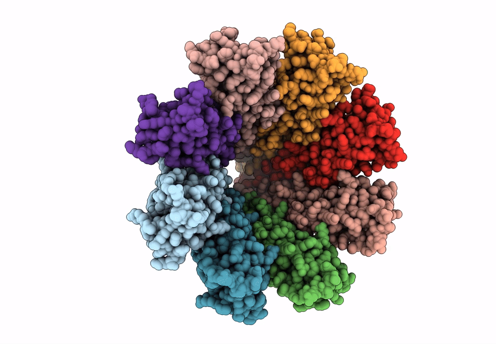 8GI1 image