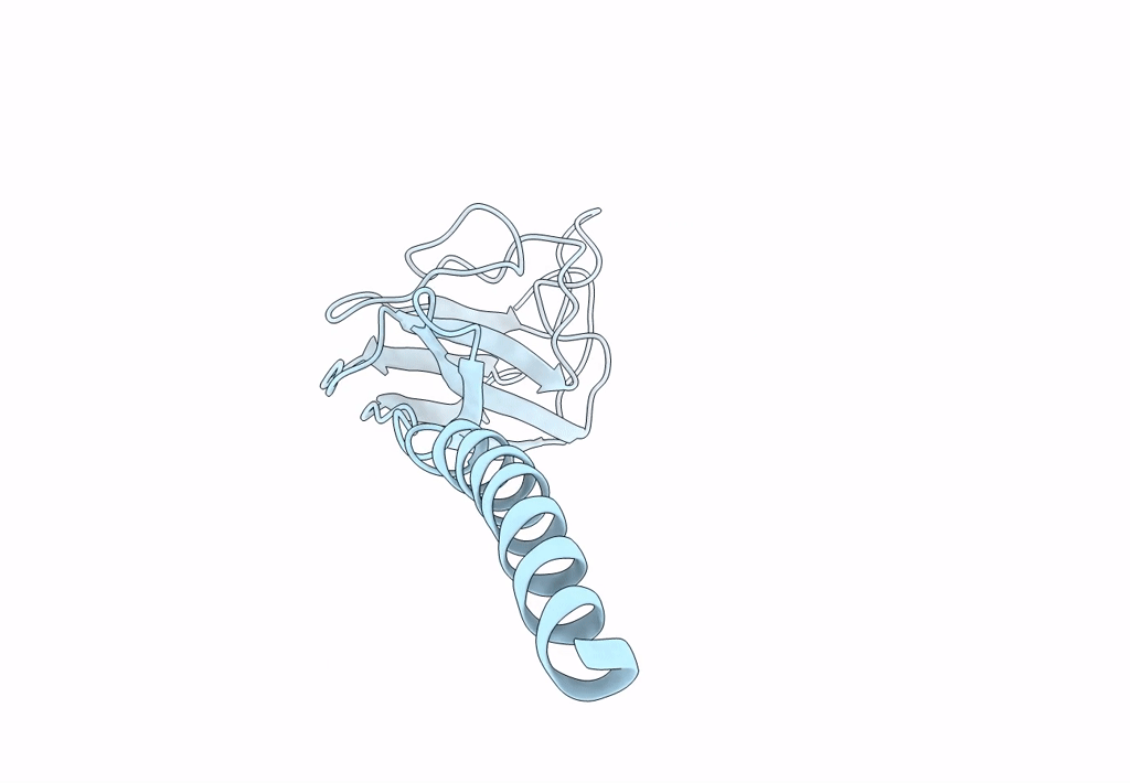 8GI2 image