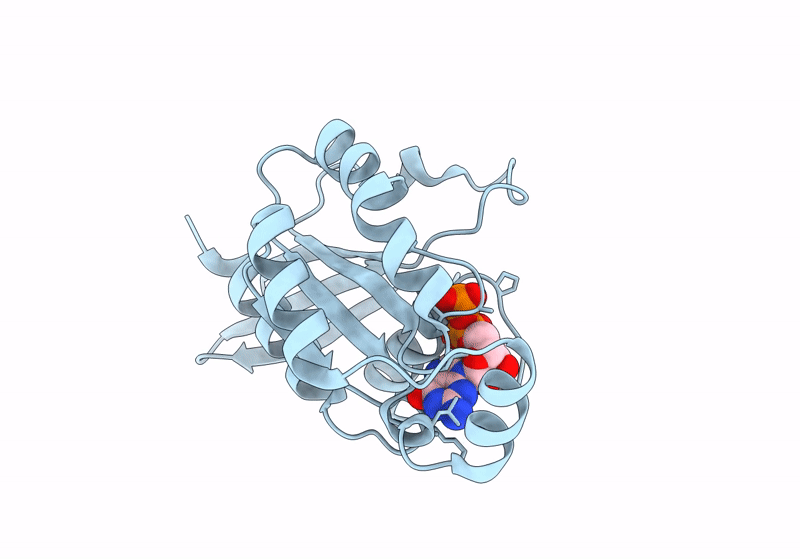 8GI3 image