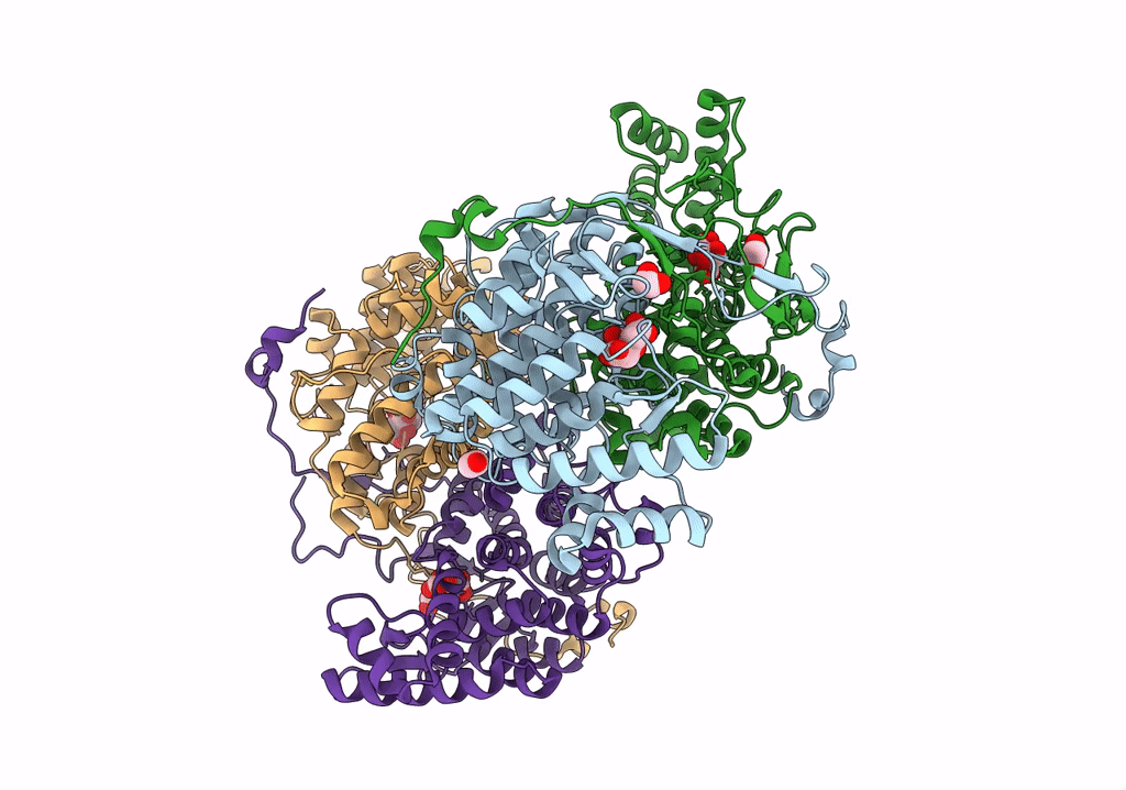 8GI7 image