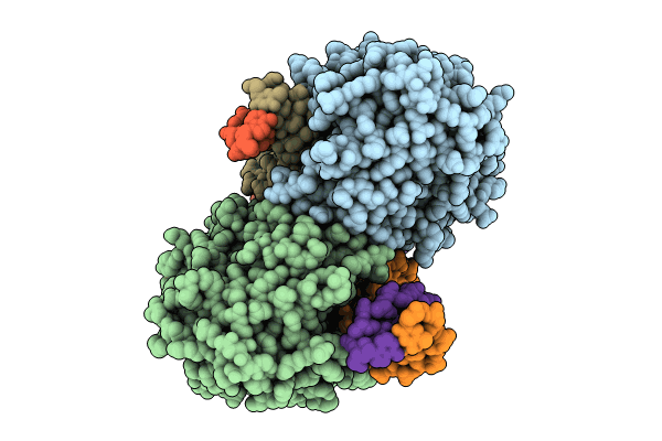 8GIP image