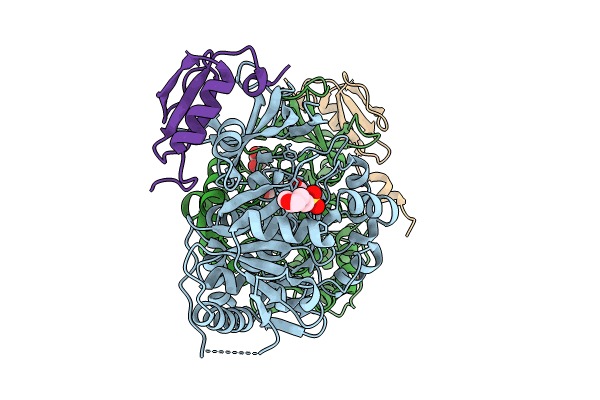 8GJ4 image