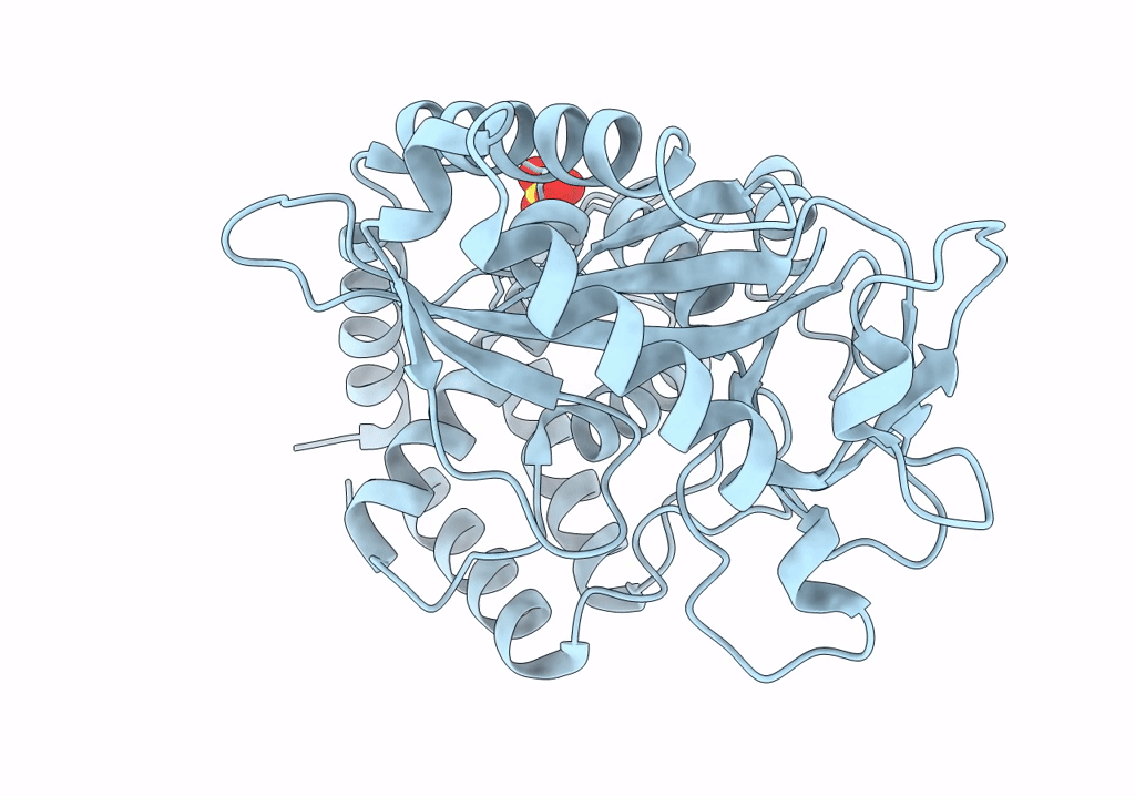 8GJW image