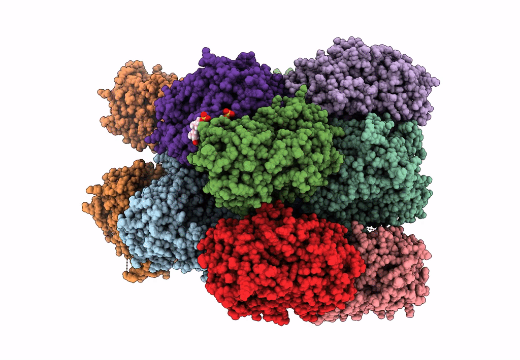8GK3 image