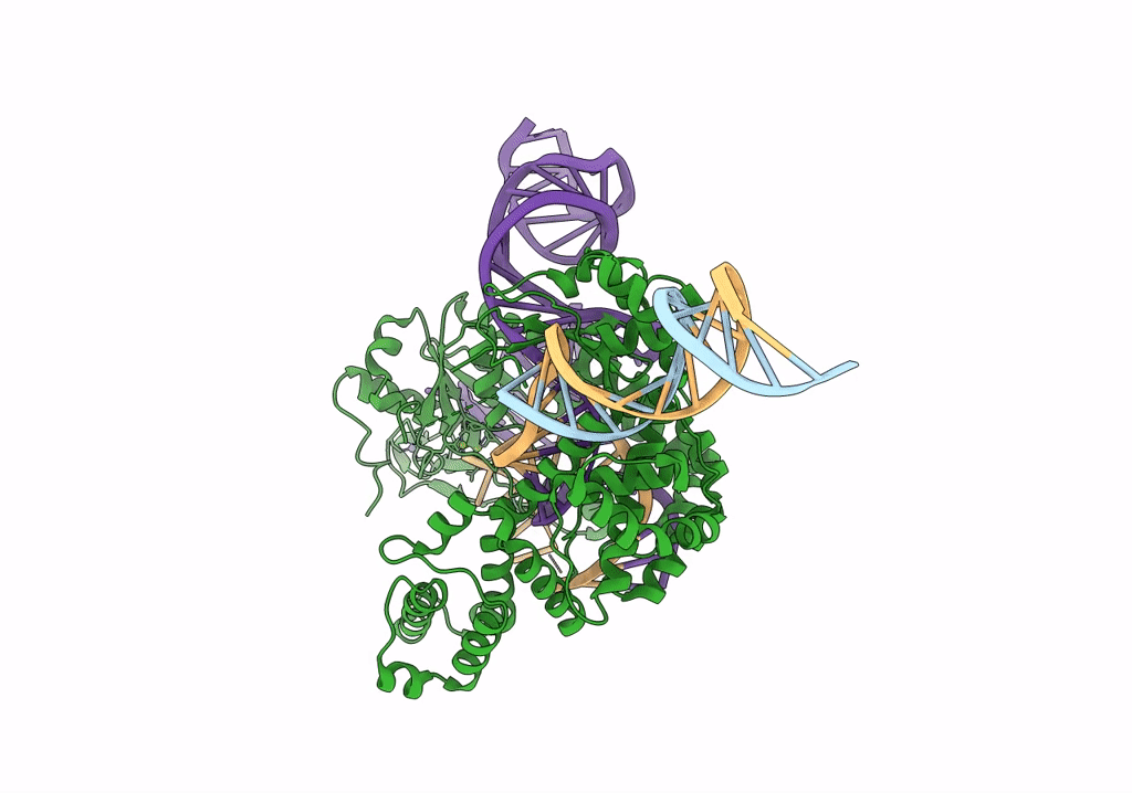 8GKH image