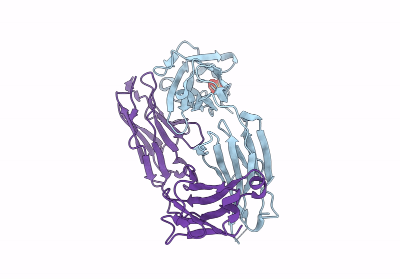 8GKK image