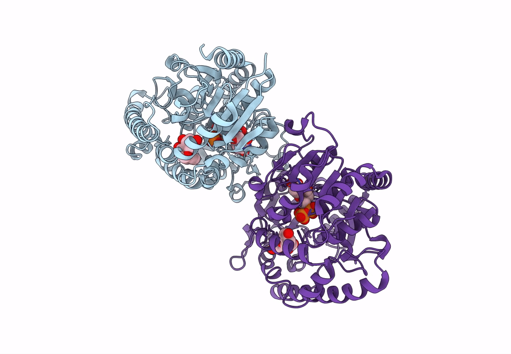 8GKN image