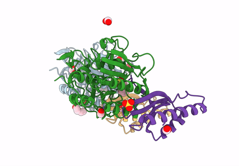 8GKP image