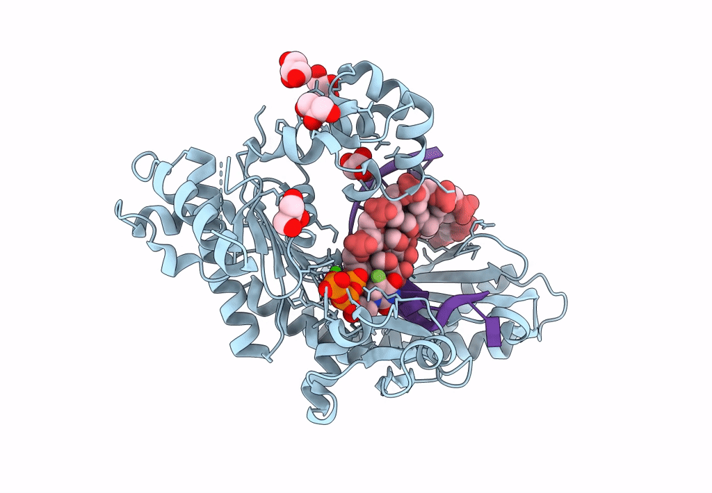 8GKR image