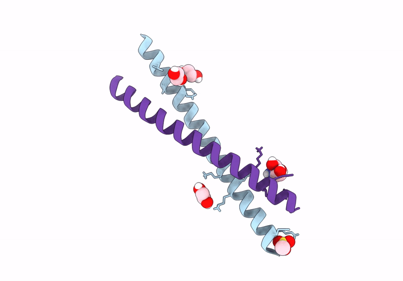 8GKV image