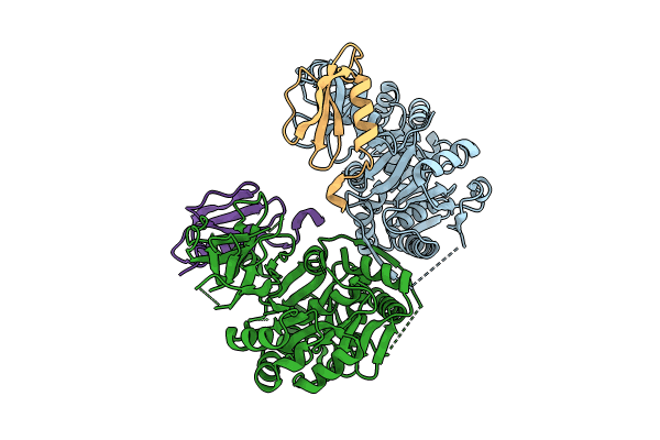 8GLC image