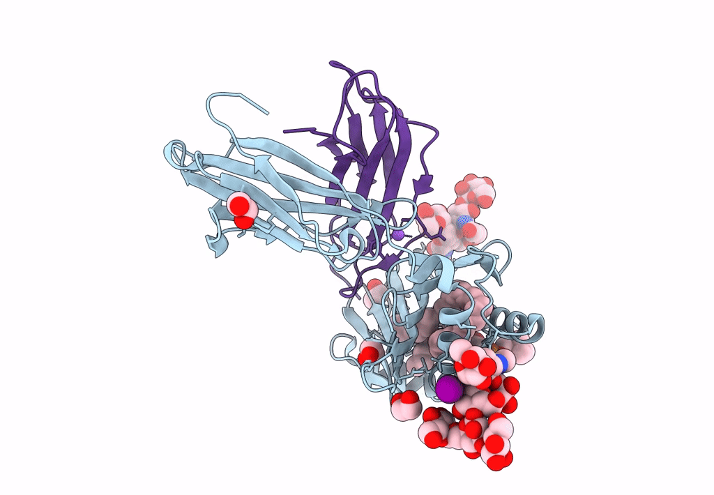 8GLH image