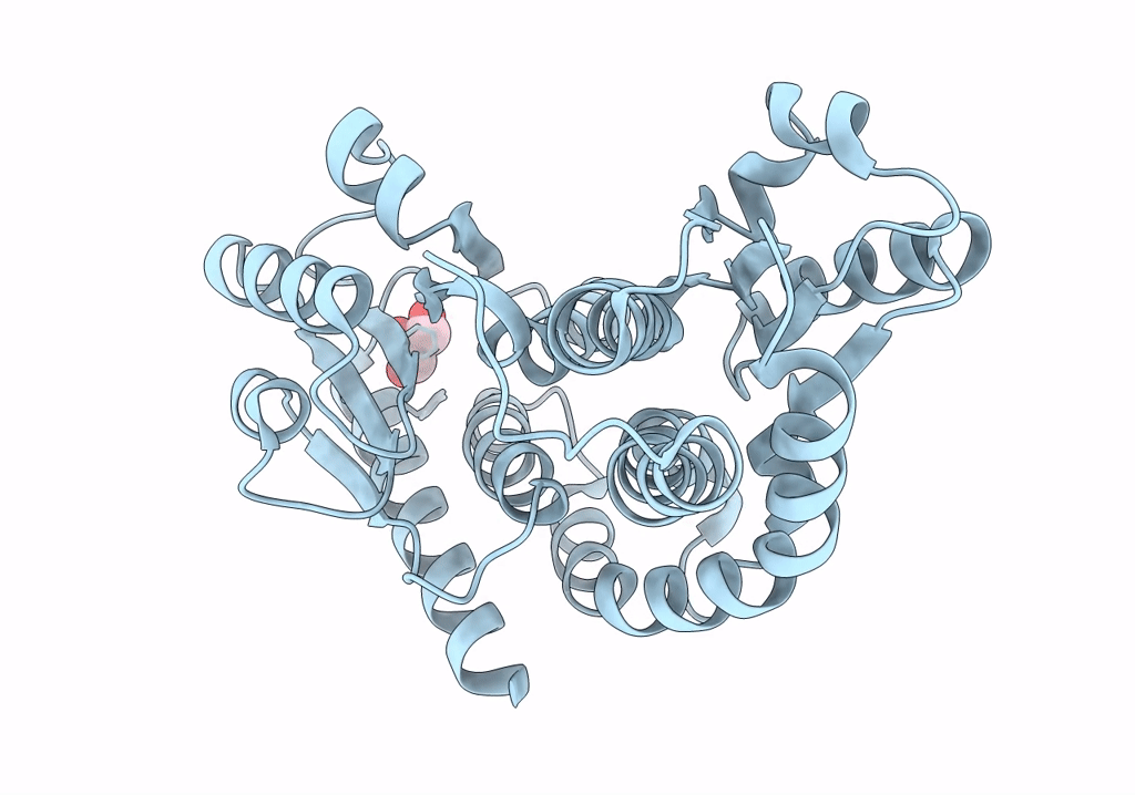 8GLR image